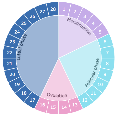 Exercise according to each phase of your cycle - Fem's Health